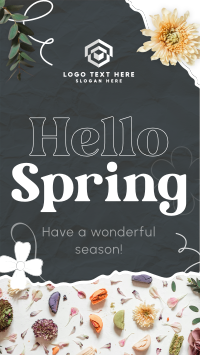 Hello Spring TikTok Video Preview