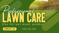 Professional Lawn Cleaning Video Preview