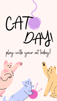 Cat Playtime Instagram Story Design