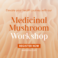 Minimal Medicinal Mushroom Workshop Instagram post Image Preview