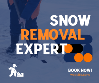 Snow Removal Expert Facebook post Image Preview