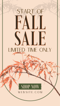 Fall Season Sale TikTok video Image Preview