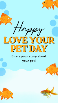 Bubbly Pet Day TikTok Video Image Preview