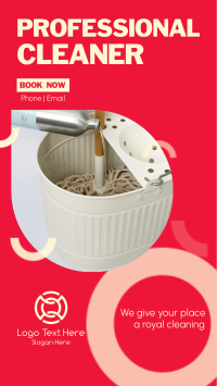 Professional Cleaner Instagram story Image Preview