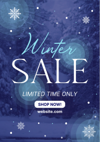 Winter Season Sale Flyer Image Preview