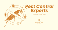 Pest Experts Facebook Ad Design