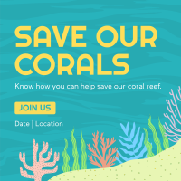 Care for the Corals Linkedin Post Image Preview