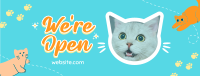 Show off your cat! Facebook cover Image Preview