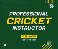Let's Play Cricket Facebook Post Design