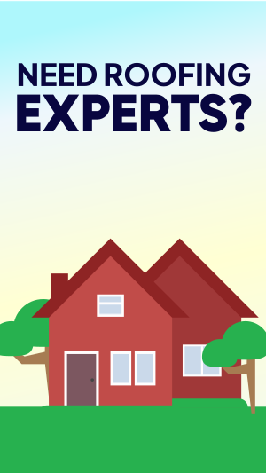 Roofing Experts Instagram story Image Preview