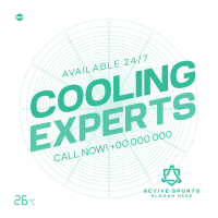 Cooling Expert Linkedin Post Image Preview
