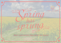 Spring Mountains Postcard Design