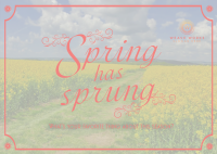 Spring Mountains Postcard Image Preview