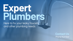 Expert Plumbers Video Image Preview