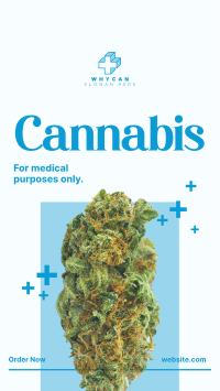 Medicinal Cannabis Instagram Story Design