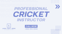 Let's Play Cricket Animation Design