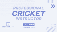 Let's Play Cricket Animation Preview
