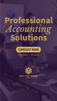 Professional Accounting Solutions Instagram reel Image Preview