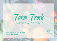 Healthy & Organic Postcard Design
