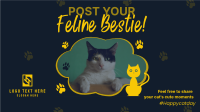 Cat Appreciation Post  Facebook Event Cover Design
