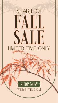 Fall Season Sale Instagram reel Image Preview