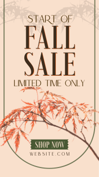 Fall Season Sale Instagram Reel Preview