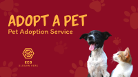 Pet Sitting Service Facebook Event Cover Design