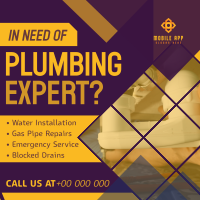 Diamond Plumbing Expert Linkedin Post Image Preview