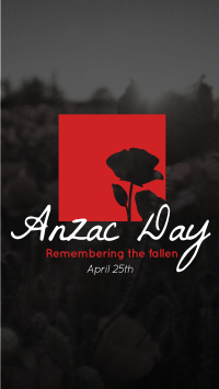 Anzac Remembrance Video Image Preview