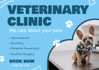 Professional Veterinarian Clinic Postcard Image Preview