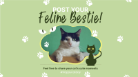 Cat Appreciation Post Animation Design