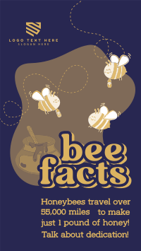 Honey Bee Facts Instagram reel Image Preview