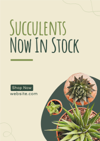 New Succulents Flyer Image Preview