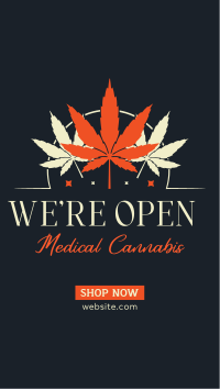 Healthy Cannabis Instagram Story Design