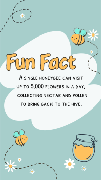 Bee Day Fun Fact TikTok Video Image Preview