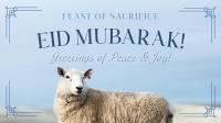 Eid Mubarak Sheep Video Image Preview