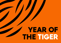 Tiger Stripes Postcard Design