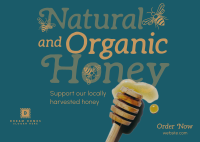 Locally Harvested Honey Postcard Design