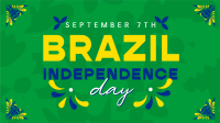 Brazil Independence Patterns Video Image Preview