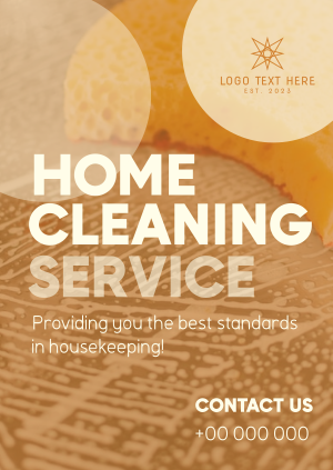 Bubble Cleaning Service Poster Image Preview