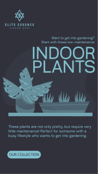 Indoor Greens Facebook story Image Preview