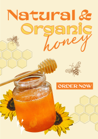 Delicious Organic Pure Honey Flyer Image Preview