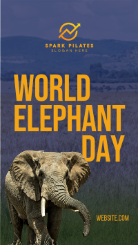 World Elephant Day Instagram reel Image Preview