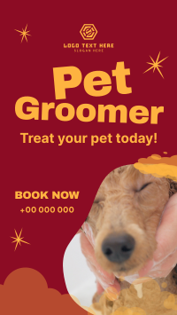 Professional Pet Groomer Instagram reel Image Preview