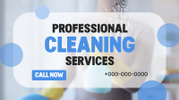 Professional Cleaning Services Animation Preview