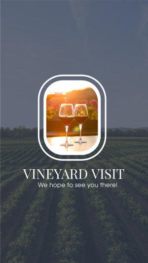 Vineyard Tour Instagram story