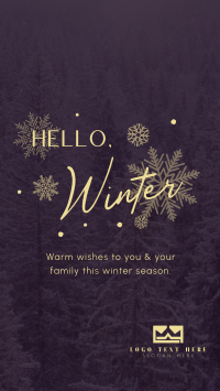Minimalist Winter Greeting TikTok video Image Preview