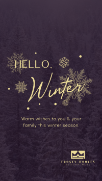 Minimalist Winter Greeting TikTok Video Image Preview