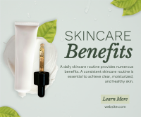 Skincare Benefits Organic Facebook post Image Preview