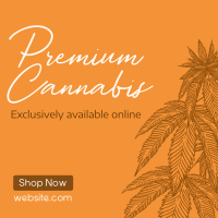 Premium Marijuana Instagram post Image Preview